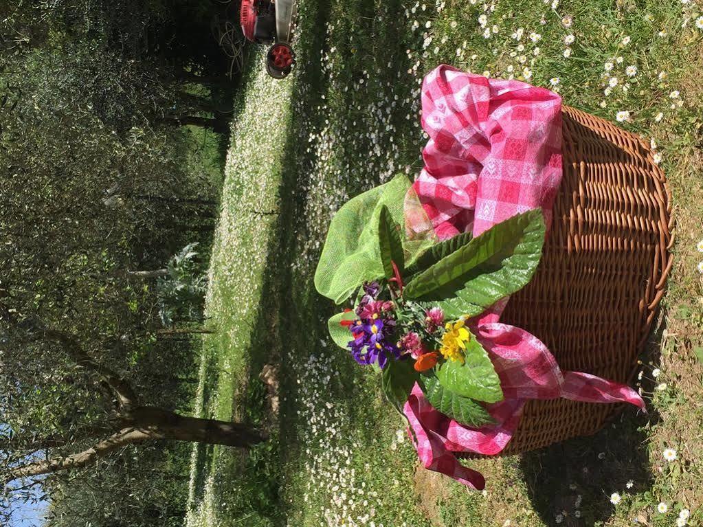 Ristorante Piccolo Chianti 3*
